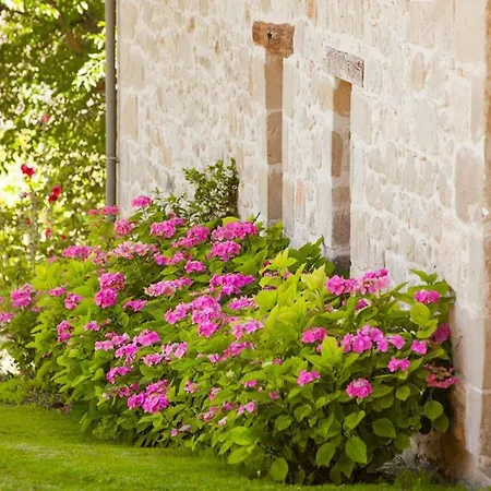 Chateau Segalas Hébergement de vacances *